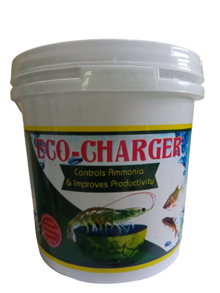 ECO CHARGER